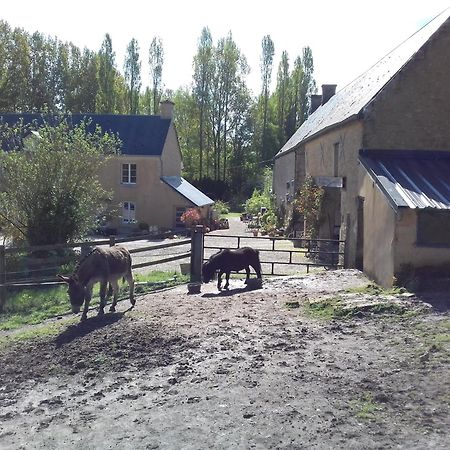 Gite Du Jardin Des Sources Vaux-sur-Seulles Esterno foto