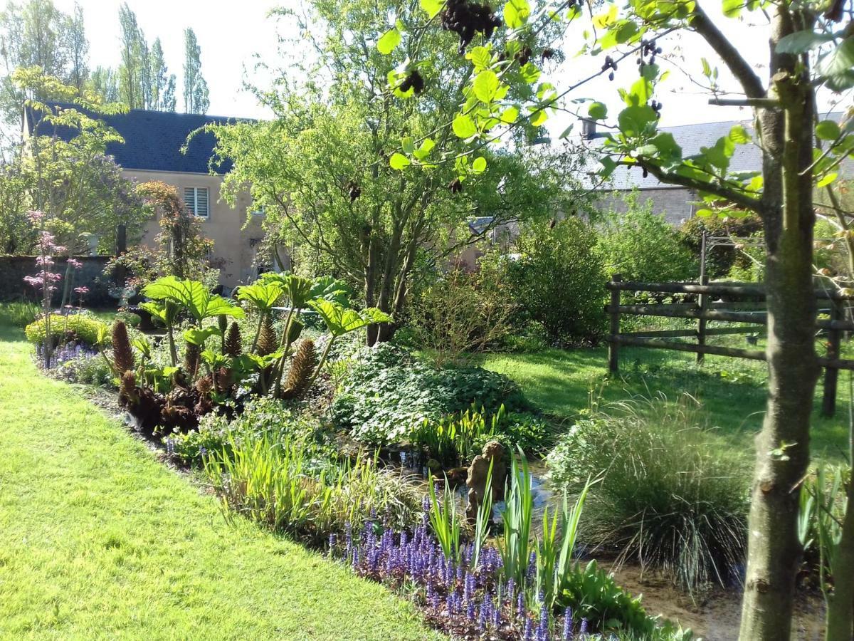 Gite Du Jardin Des Sources Vaux-sur-Seulles Esterno foto