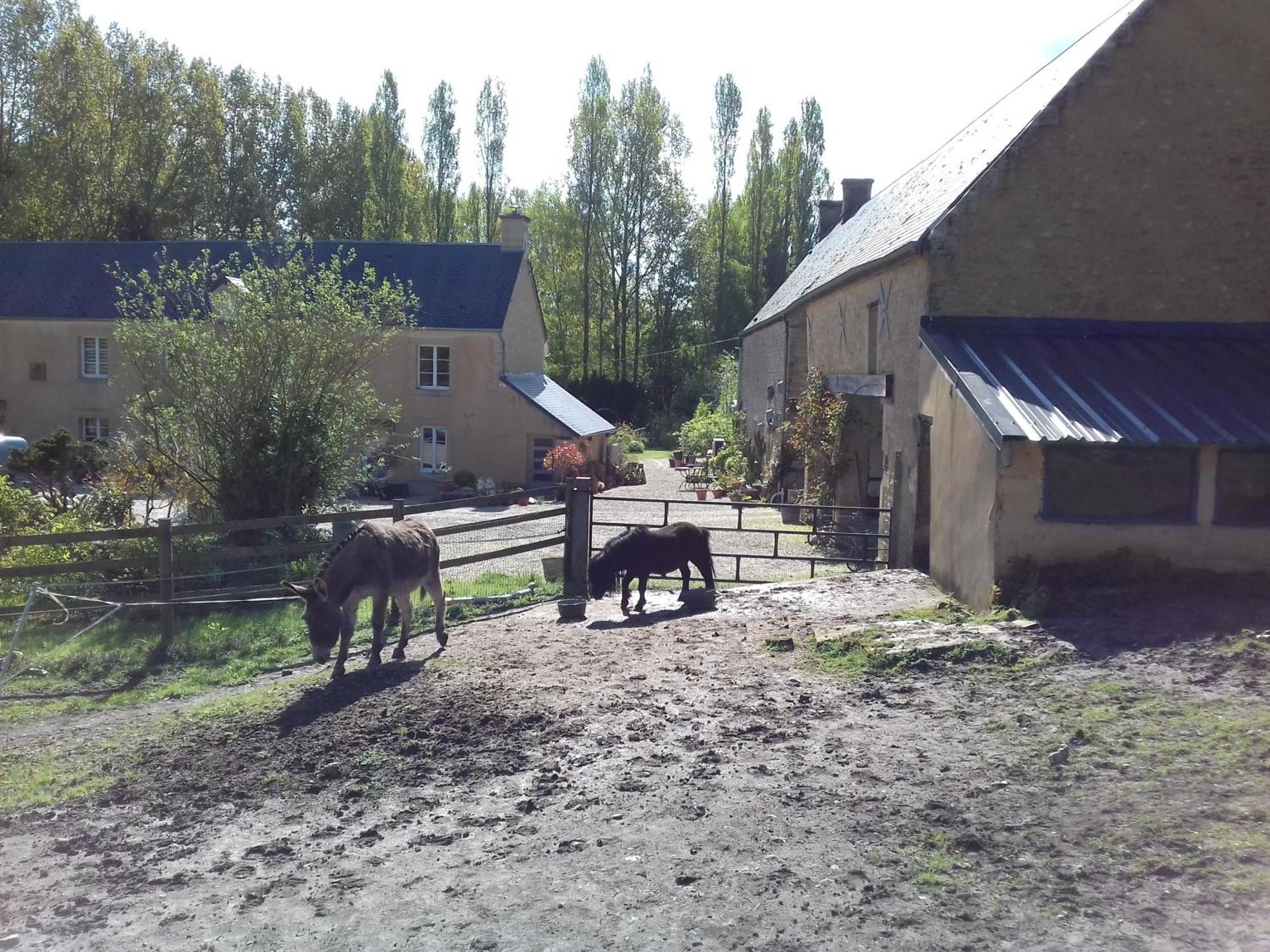Gite Du Jardin Des Sources Vaux-sur-Seulles Esterno foto