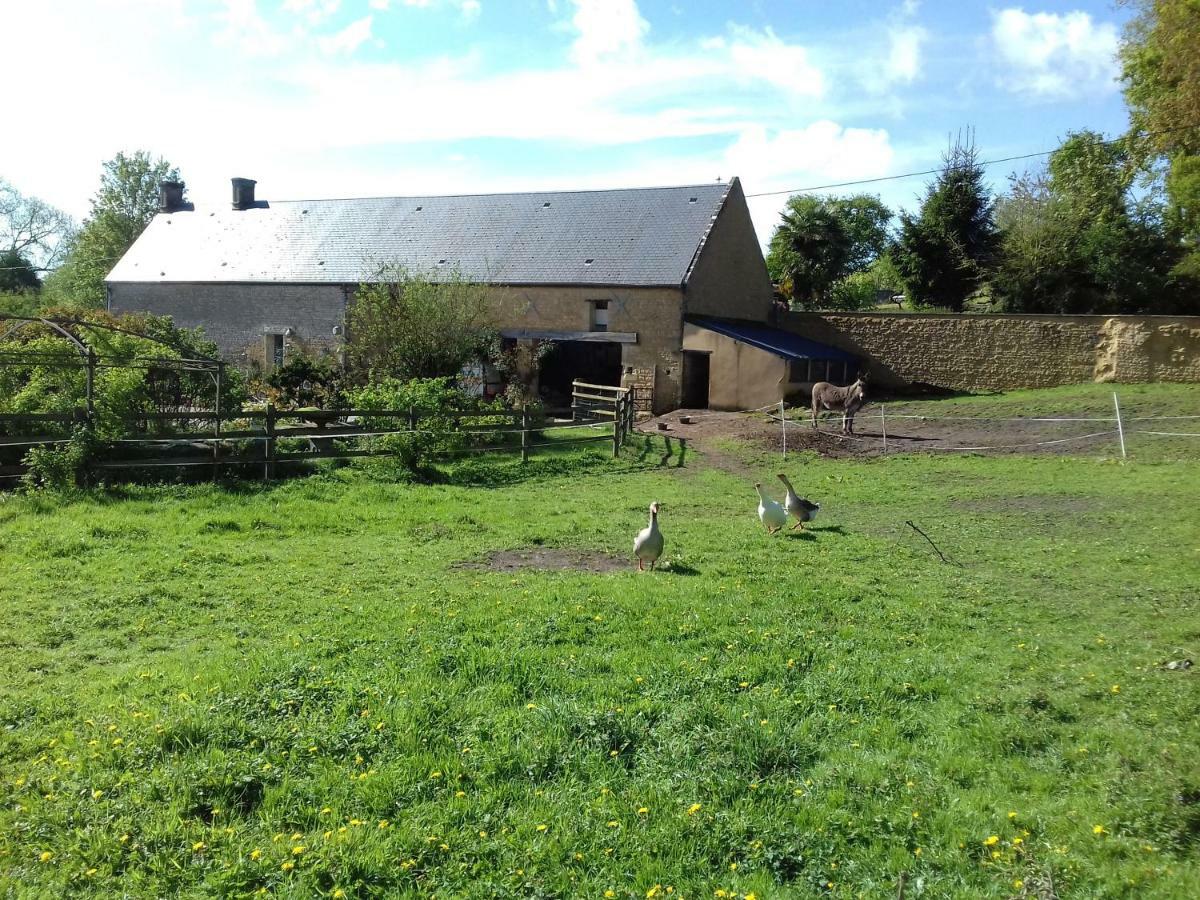 Gite Du Jardin Des Sources Vaux-sur-Seulles Esterno foto