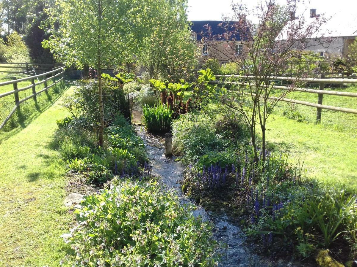 Gite Du Jardin Des Sources Vaux-sur-Seulles Esterno foto